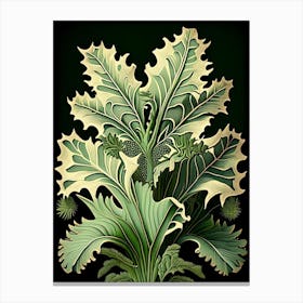 Staghorn Fern 2  Canvas Print