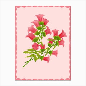 Pink Calampula Flower Canvas Print