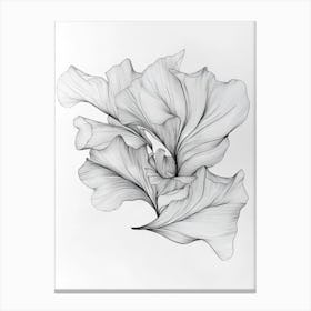 Ginkgo Leaves 14 Canvas Print