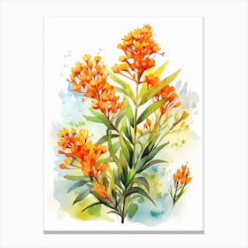 Butterfly Weed Wildflower With Sunset In Watercolor Style (4) Canvas Print