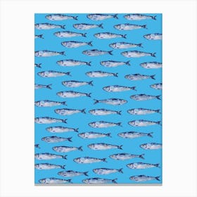 Sardines Swimming Blue Canvas Print