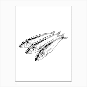 Sardines. Uk Canvas Print