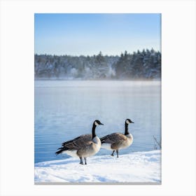 Canadian Goose Tranquil Stance Beside A Frozen Lakes Edge Winter Landscape Background Snow Clad (1) Canvas Print