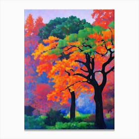 Quercus Rubra Tree Cubist Canvas Print
