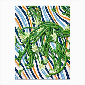 Garlic Scapes Summer Illustration 2 Canvas Print