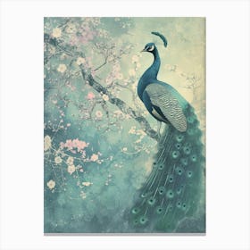 Vintage Turquoise Peacock With Blossom Canvas Print