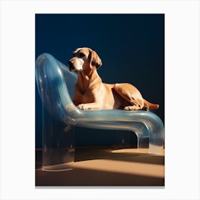 Dog On A Couch Canvas Print