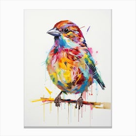 Colourful Bird Painting Sparrow 3 Canvas Print
