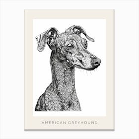 American Greyhound Dog Line Sketch 2 Poster Canvas Print
