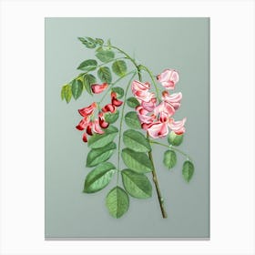 Vintage Robinier Rose Bloom Botanical Art on Mint Green n.0989 Canvas Print