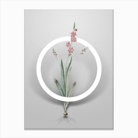 Vintage Ixia Scillaris Minimalist Botanical Geometric Circle on Soft Gray n.0075 Canvas Print