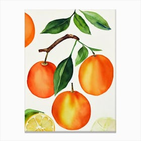 Tangerine Watercolour Fruit Painting Fruit Canvas Print