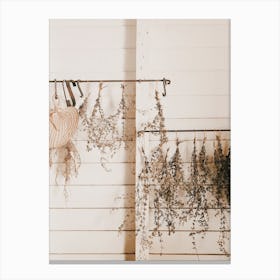 Dried Lavender Canvas Print