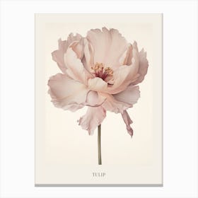 Floral Illustration Tulip 3 Poster Canvas Print