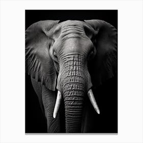 Black And White Photograph Of A Elephant Canvas Print