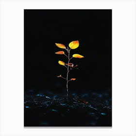 Tree Growing In The Water Canvas Print