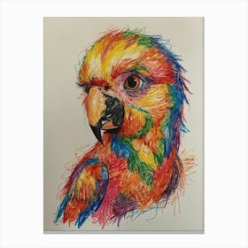 Colorful Parrot 14 Canvas Print