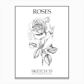 Roses Sketch 35 Poster Canvas Print