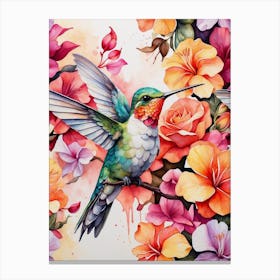 Hummingbird Canvas Print