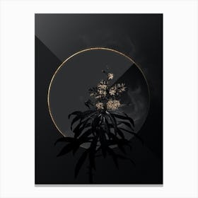 Shadowy Vintage Pleomele Botanical on Black with Gold Canvas Print