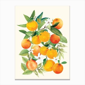 Oranges Canvas Print