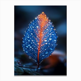 Blue Leaf With Water Droplets 10 Canvas Print