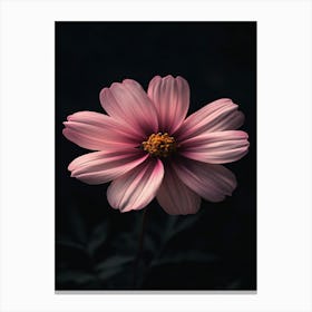 Pink Cosmos Flower 2 Canvas Print