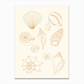 Shells Line Drawing Poster Canvas Print