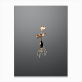 Gold Botanical Cape Tulip on Soft Gray n.1383 Canvas Print