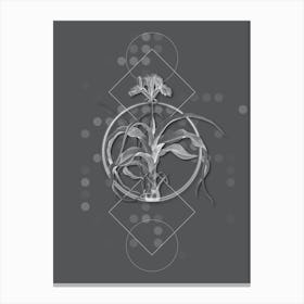 Vintage Iris Scorpiodes Botanical with Line Motif and Dot Pattern in Ghost Gray n.0417 Canvas Print