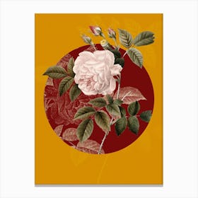 Vintage Botanical Rosa Indica on Circle Red on Yellow n.0156 Canvas Print