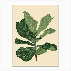 Fiddle Leaf Fig Plant Minimalist Illustration 8 Canvas Print