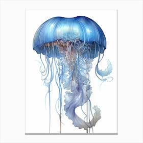 Portuguese Man Of War Jellyfish 2 Canvas Print