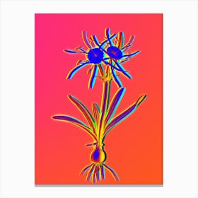 Neon Streambank Spiderlily Botanical in Hot Pink and Electric Blue n.0261 Canvas Print