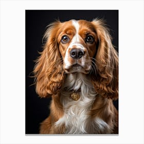 Golden And White English Cocker Spaniel Fluff Surrounding Soft Happy Gaze Purebred Demeanor Sitti (2) 2 Stampe su tela