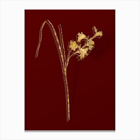 Vintage Gladiolus Ringens Botanical in Gold on Red n.0033 Canvas Print