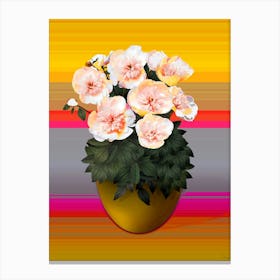 White Peony Flowers In The Old Pot On A Striped Background Canvas Print