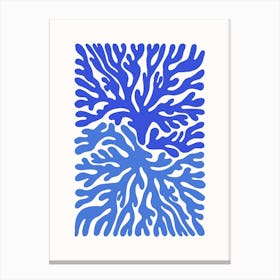 Coral Tree Canvas Print