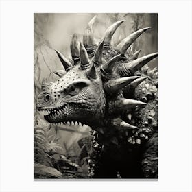 Black And White Photograph Of A Stegosaurus 1 Canvas Print