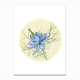 Love in a Mist Canvas Print