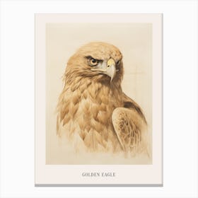 Vintage Bird Drawing Golden Eagle Poster Canvas Print