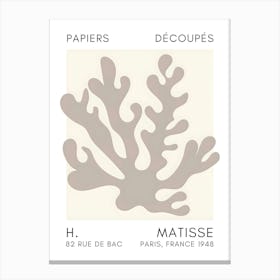 Matisse 32 Canvas Print