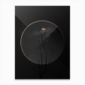 Shadowy Vintage Allium Foliosum Botanical in Black and Gold 1 Canvas Print