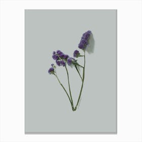 Violet Little Flowers I Canvas Print