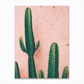 Cactus 1 Canvas Print