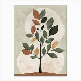 Walnut Tree Minimal Japandi Illustration 4 Canvas Print