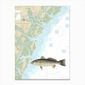 Denton Vintage Weakfish on the Tybee Island To Doboy Sound Nautical Chart 11509 Canvas Print