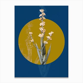 Vintage Botanical Pale Yellow Eyed Grass on Circle Yellow on Blue n.0118 Canvas Print