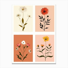 Set Of 4 Simple Hand Drawn Daisies On Pink Paper Canvas Print