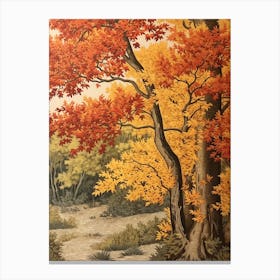 Poplar 2 Vintage Autumn Tree Print  Canvas Print